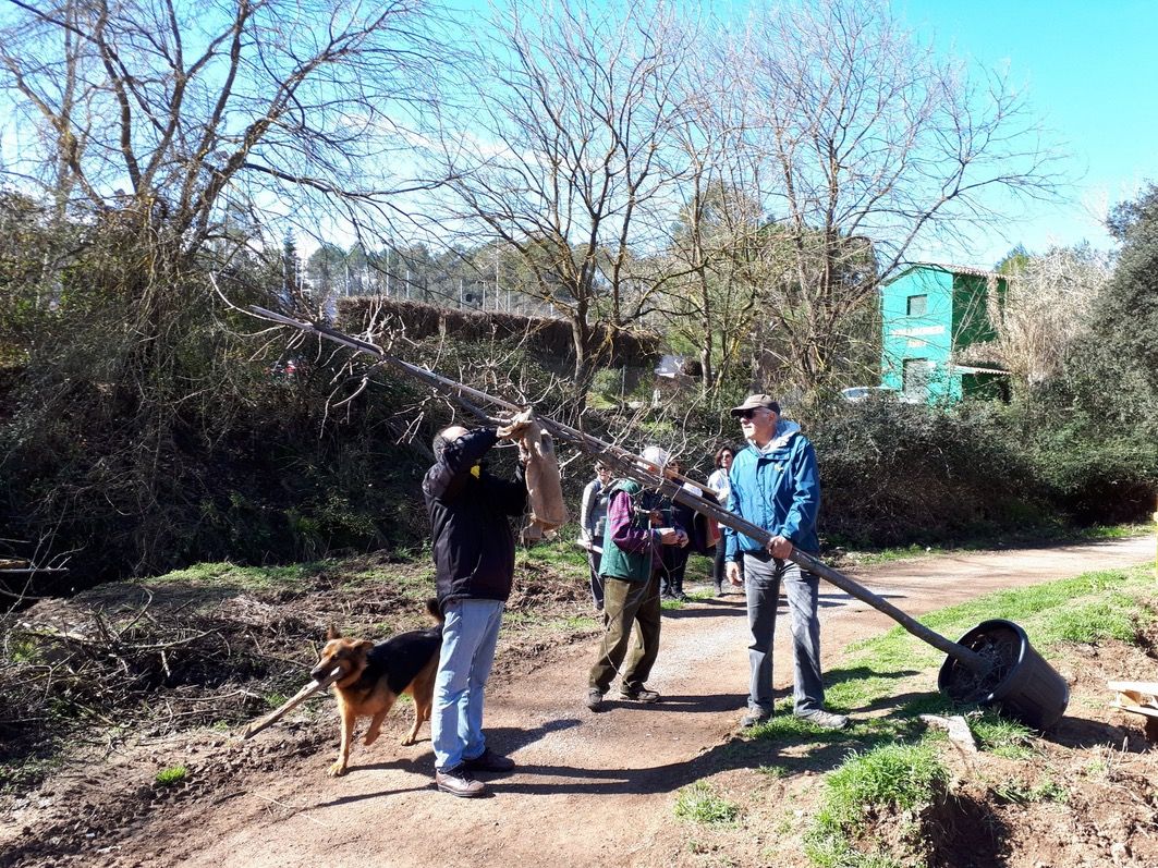 En aquesta edici&oacute; s'ha plantat un roure. FOTO: @QuimCastello