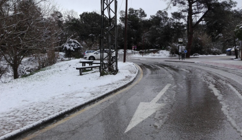 Carretera a la Floresta FOTO: Cedida Carretera a la Floresta FOTO: Cedida