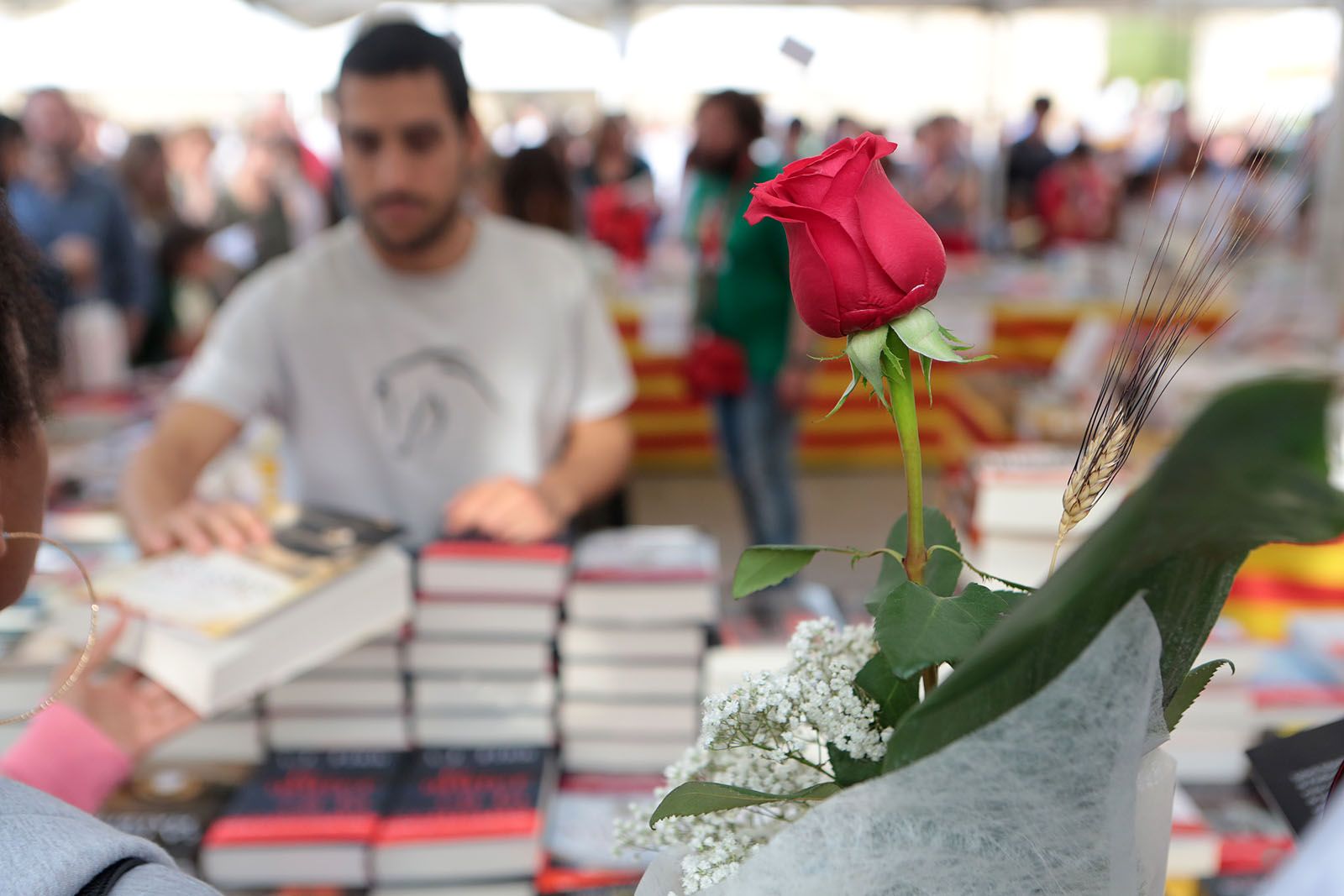 Sant Jordi 2018 FOTO: Artur Ribera