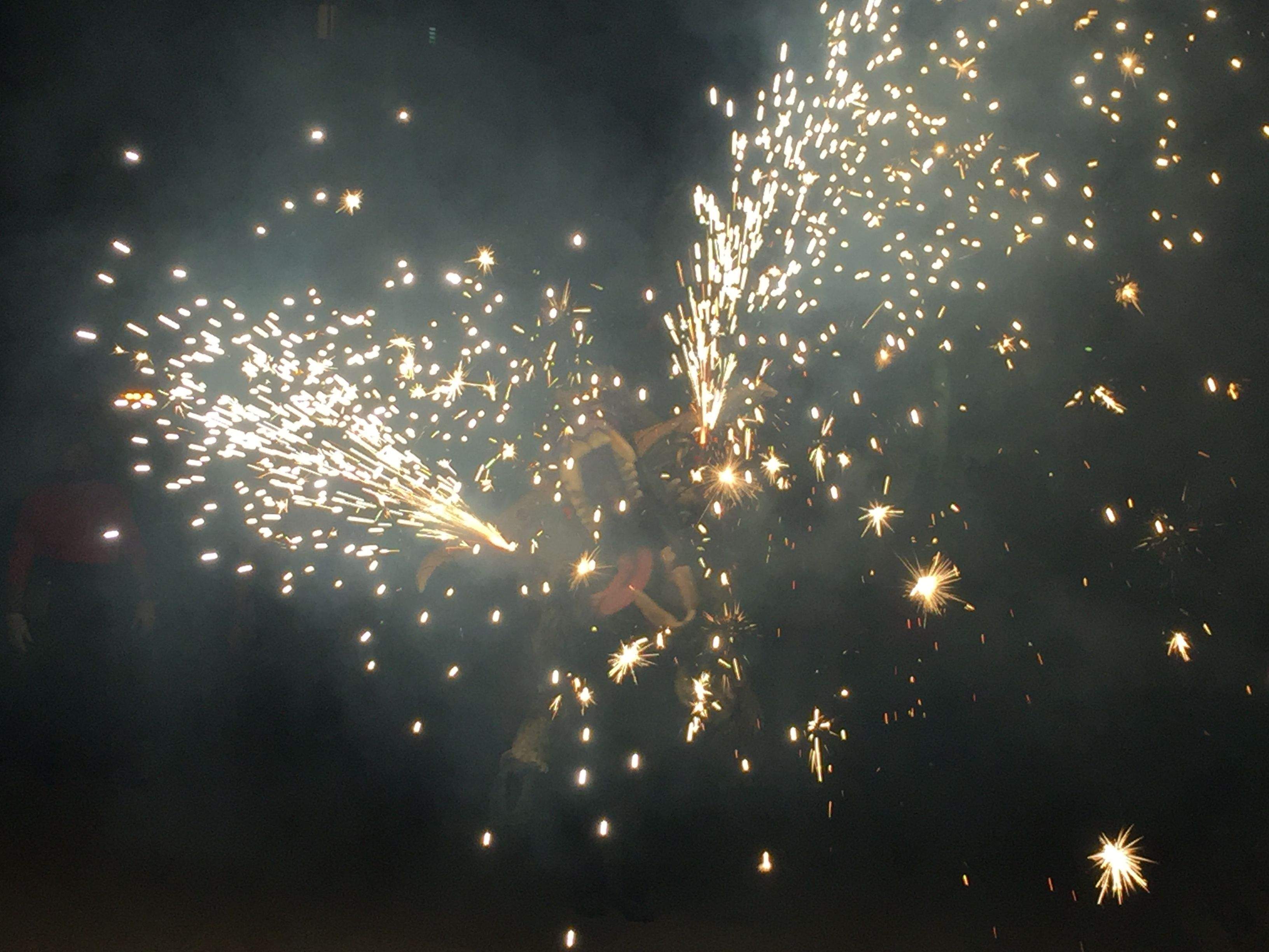 El Boc ha despertat. FOTO: C. Caballé