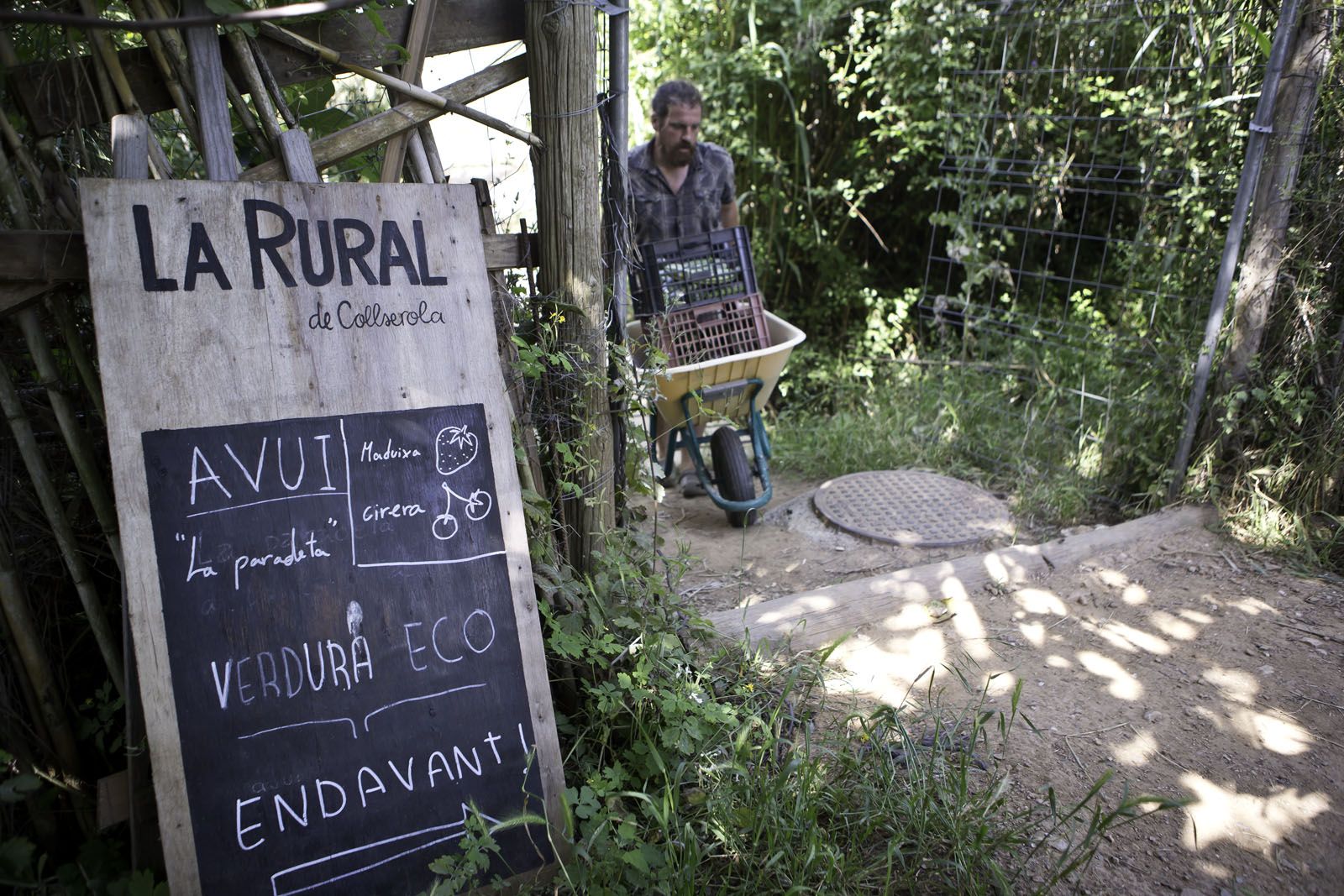 Verdures i hortalisses crescudes a Collserola FOTO: Artur Ribera