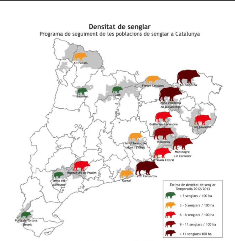 Població de senglars a Catalunya segons el Pla de prevenció dels danys i els riscos originats per la fauna cinegètica