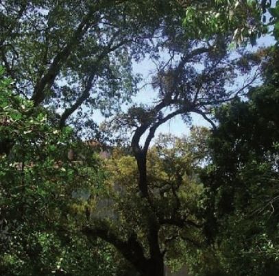 FOTO: Jordi Roca i Josep Castellví