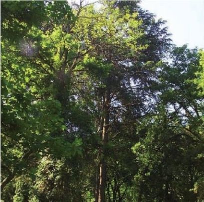 FOTO: Jordi Roca i Josep Castellví