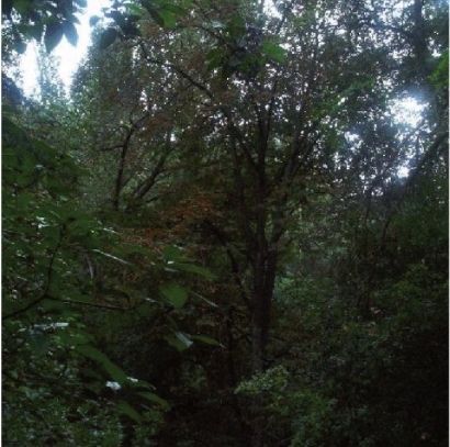 FOTO: Jordi Roca i Josep Castellví