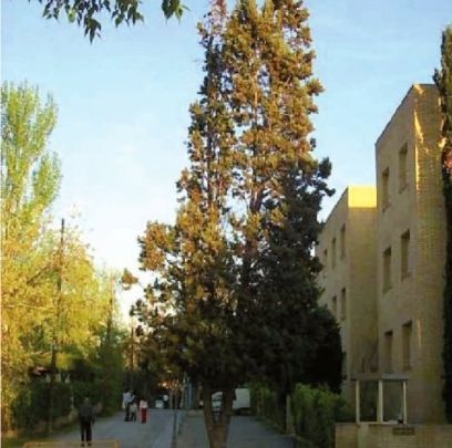 FOTO: Jordi Roca i Josep Castellví