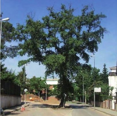 FOTO: Jordi Roca i Josep Castellví
