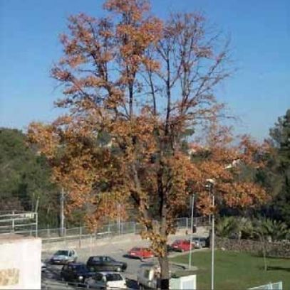 FOTO: Jordi Roca i Josep Castellví