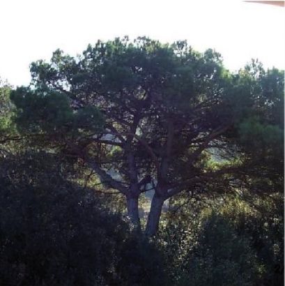 FOTO: Jordi Roca i Josep Castellví