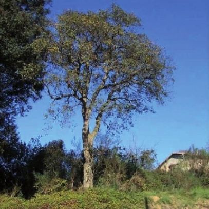 FOTO: Jordi Roca i Josep Castellví