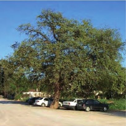 FOTO: Jordi Roca i Josep Castellví