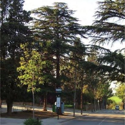 FOTO: Jordi Roca i Josep Castellví