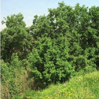 FOTO: Jordi Roca i Josep Castellví