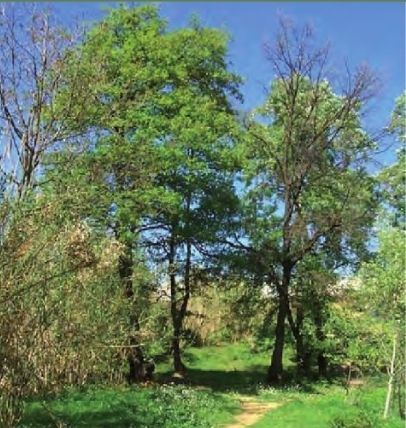 FOTO: Jordi Roca i Josep Castellví