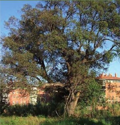 FOTO: Jordi Roca i Josep Castellví