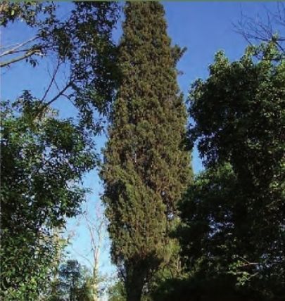 FOTO: Jordi Roca i Josep Castellví