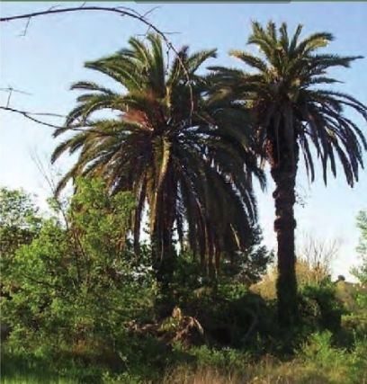 FOTO: Jordi Roca i Josep Castellví
