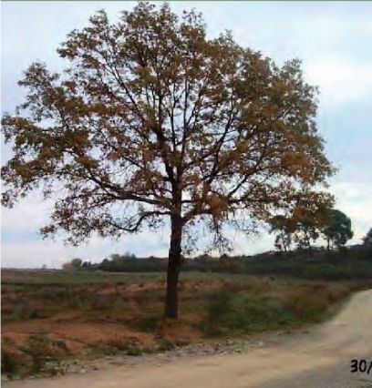 FOTO: Jordi Roca i Josep Castellví