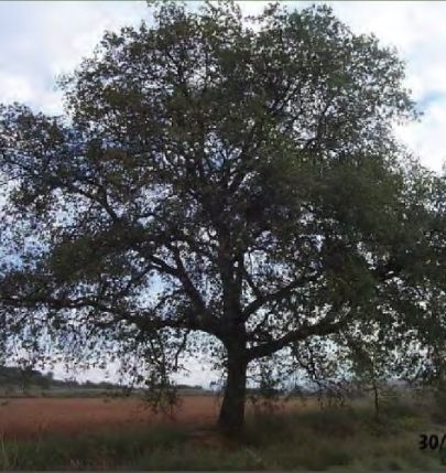 FOTO: Jordi Roca i Josep Castellví