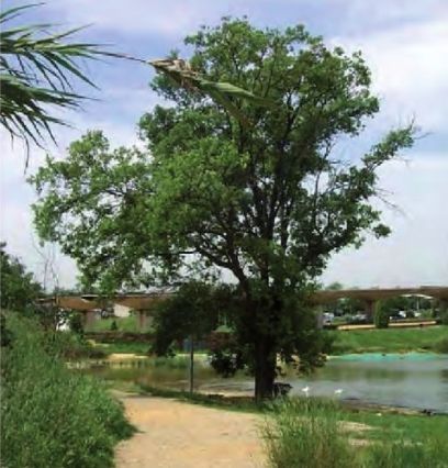 FOTO: Jordi Roca i Josep Castellví