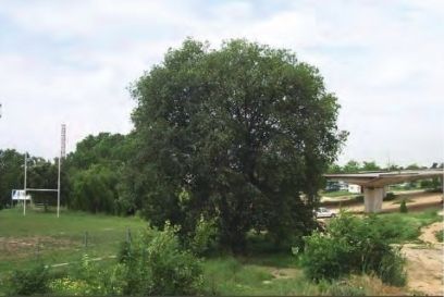 FOTO: Jordi Roca i Josep Castellví