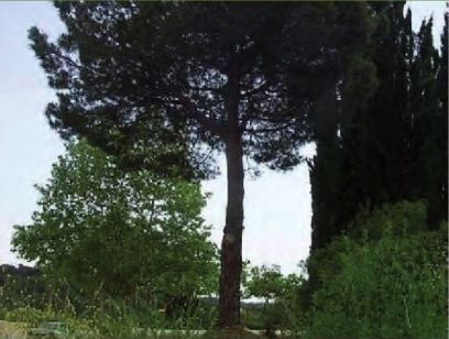 FOTO: Jordi Roca i Josep Castellví