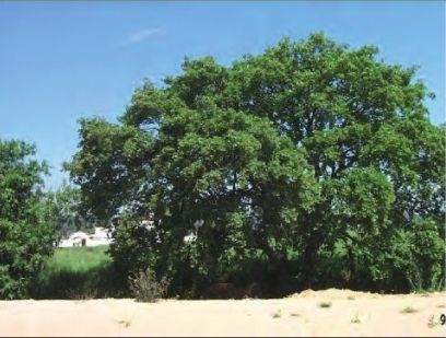 FOTO: Jordi Roca i Josep Castellví