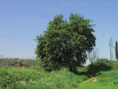 FOTO: Jordi Roca i Josep Castellví