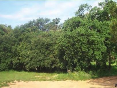 FOTO: Jordi Roca i Josep Castellví