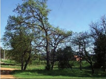 FOTO: Jordi Roca i Josep Castellví