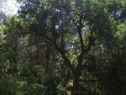 FOTO: Jordi Roca i Josep Castellví