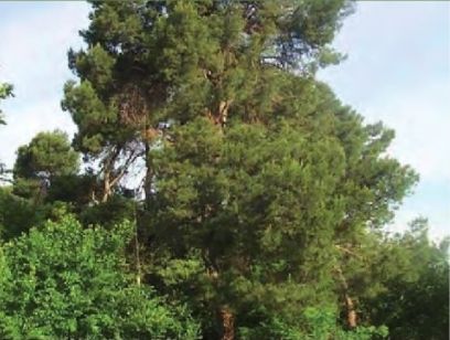 FOTO: Jordi Roca i Josep Castellví