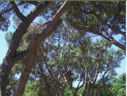 FOTO: Jordi Roca i Josep Castellví