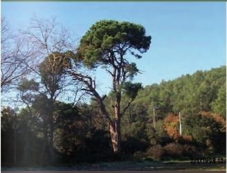 FOTO: Jordi Roca i Josep Castellví