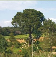 FOTO: Jordi Roca i Josep Castellví