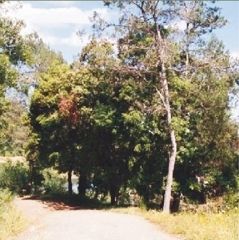 FOTO: Jordi Roca i Josep Castellví