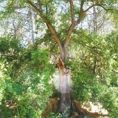 FOTO: Jordi Roca i Josep Castellví