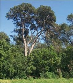 FOTO: Jordi Roca i Josep Castellví