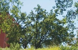 FOTO: Jordi Roca i Josep Castellví