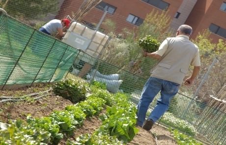 Els propietaris d'espais particulars que cedeixin el seu solar podran sol·licitar una bonificació de l'IBI FOTO: A. Ribera
