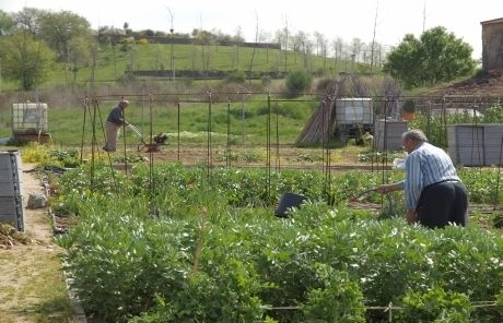 Els hortelans disfruten de les seves collites. FOTO: A. Ribera