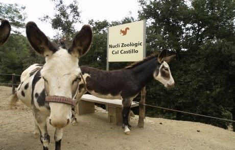 El Parc zoològic Can Castillo. FOTO: Arxiu