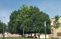 FOTO: Jordi Roca i Josep Castellví