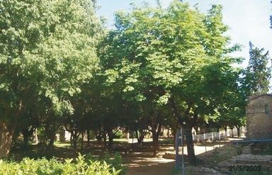 FOTO: Jordi Roca i Josep Castellví 