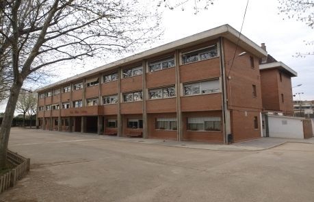 Els polls proliferen en els centres educatius de la ciutat FOTO: Arxiu