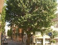 FOTO: Jordi Roca i Josep Castellví