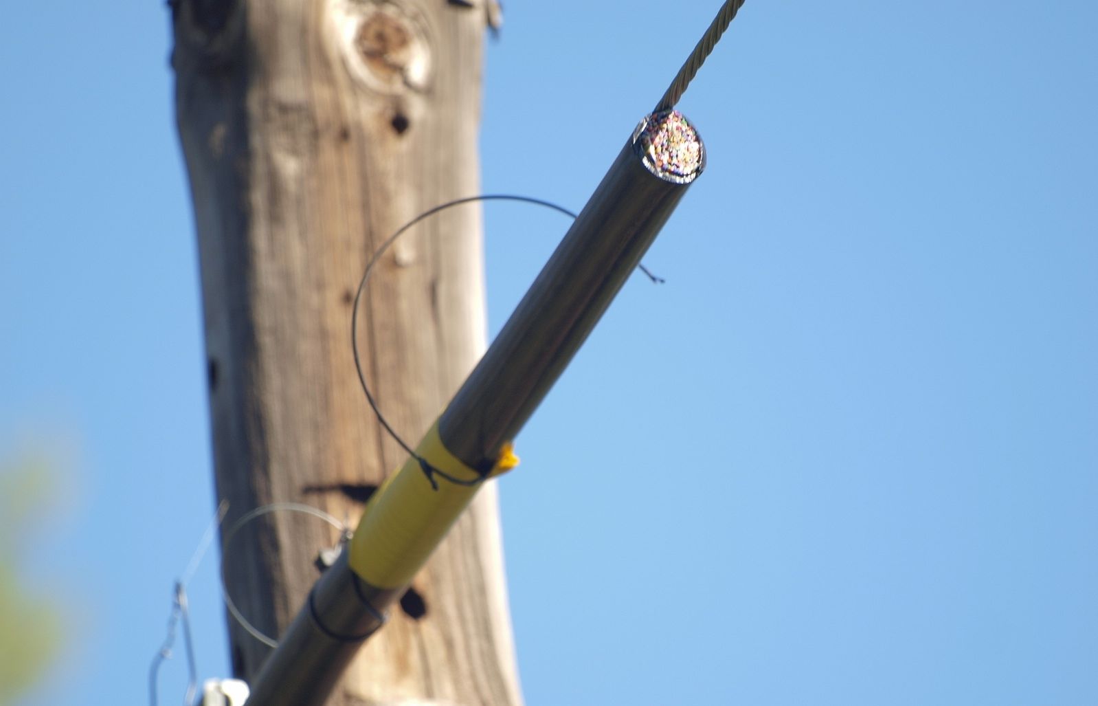 Els lladres tallen les línies telefòniques per endur-se el coure. FOTO: A. Ribera
