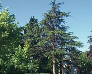 FOTO: Jordi Roca i Josep Castellví 