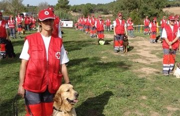 Membres de Creu Roja ensinistrant gossos de rastreig