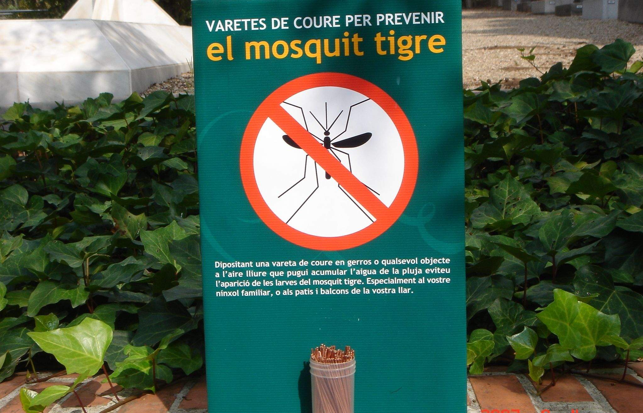 Les barretes de coure eviten la proliferació de les larves. FOTO: Arxiu